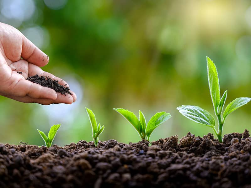 有機肥料為什麽受有機農業關注和重視？